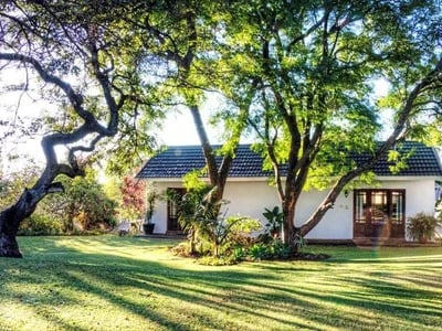 Home & Garden Reviews of Tools That Actually Work