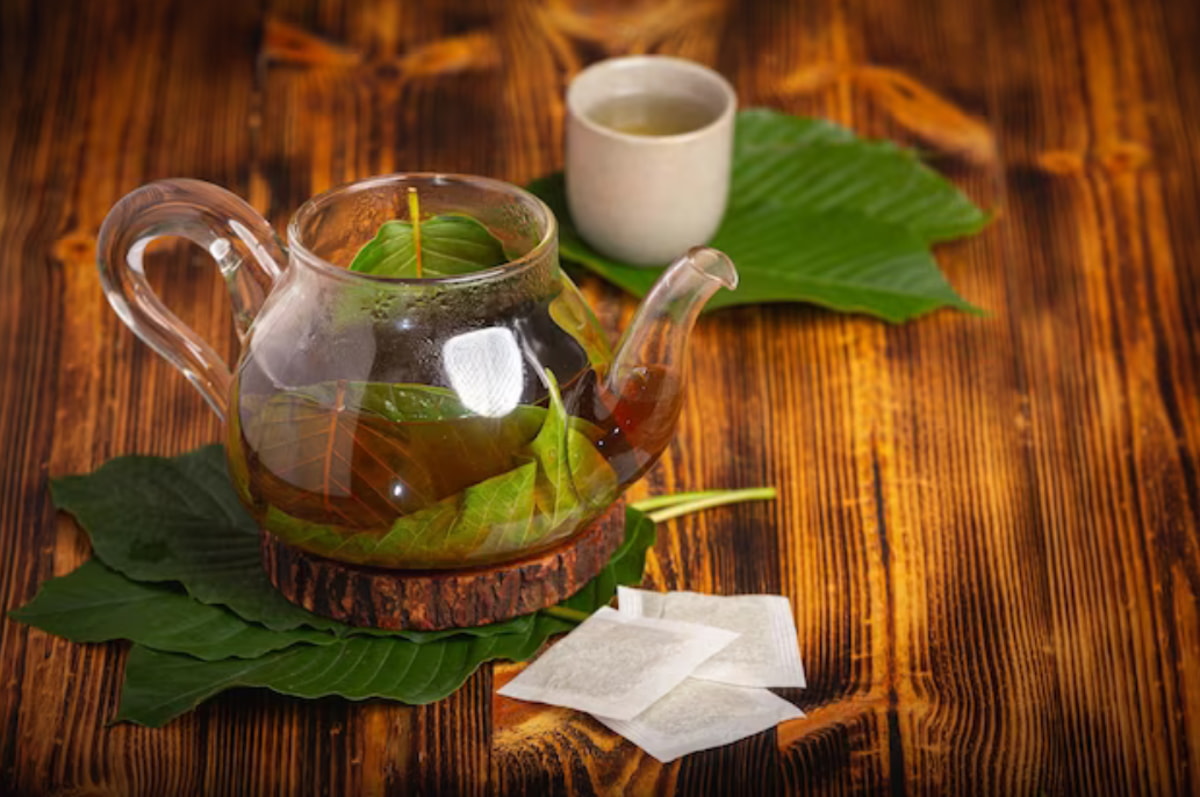 Where to Find Herbal Wellness Tea Chiang Mai Locals Recommend