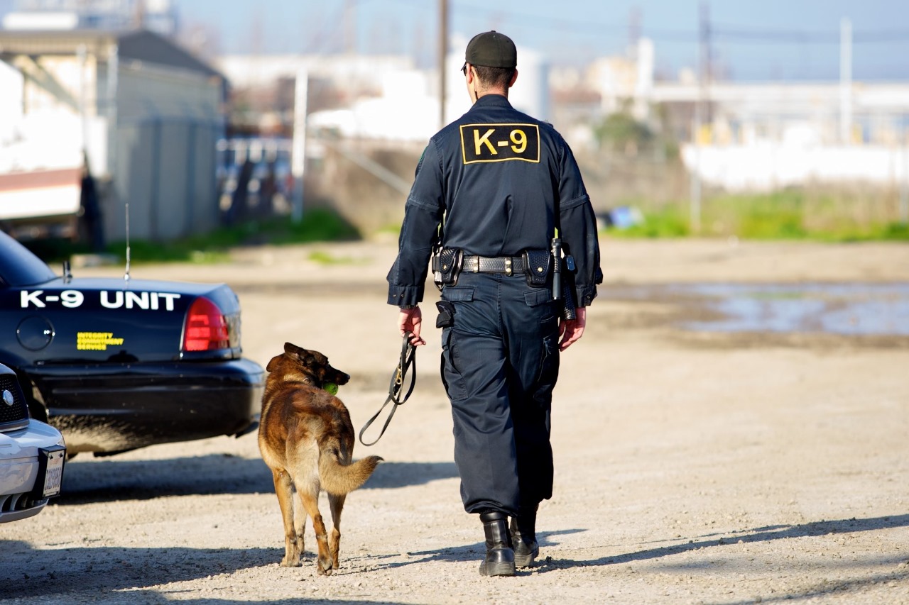 Security Dog Services Coventry – Professional Canine Security Teams | ISA Support Services