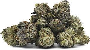 Skittles Strain – Vibrant and Potent Cannabis at Bud Cargo