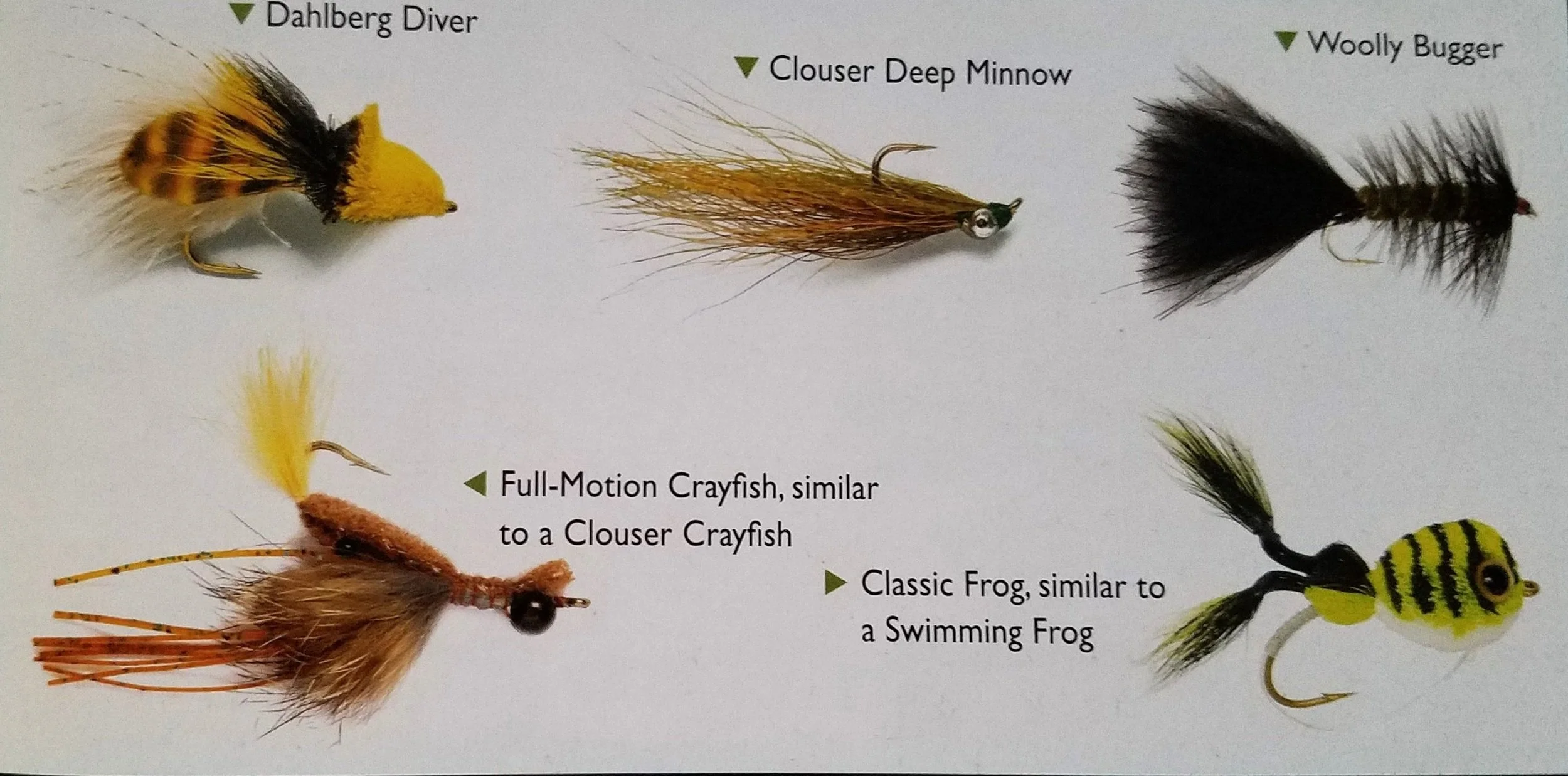Fly Fishing for Bass: Equipment You Need