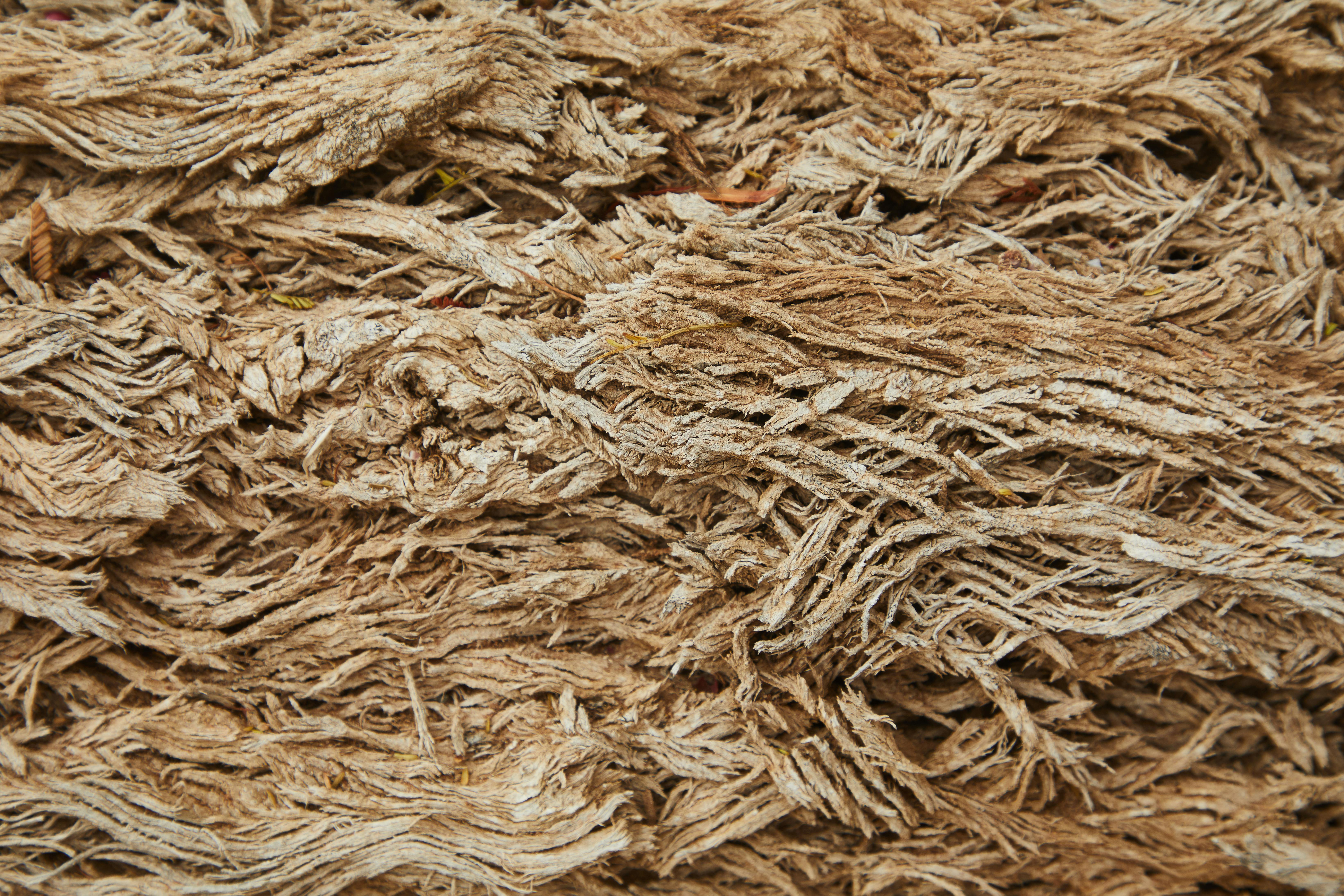 Affordable Wood Shavings for Agricultural Needs