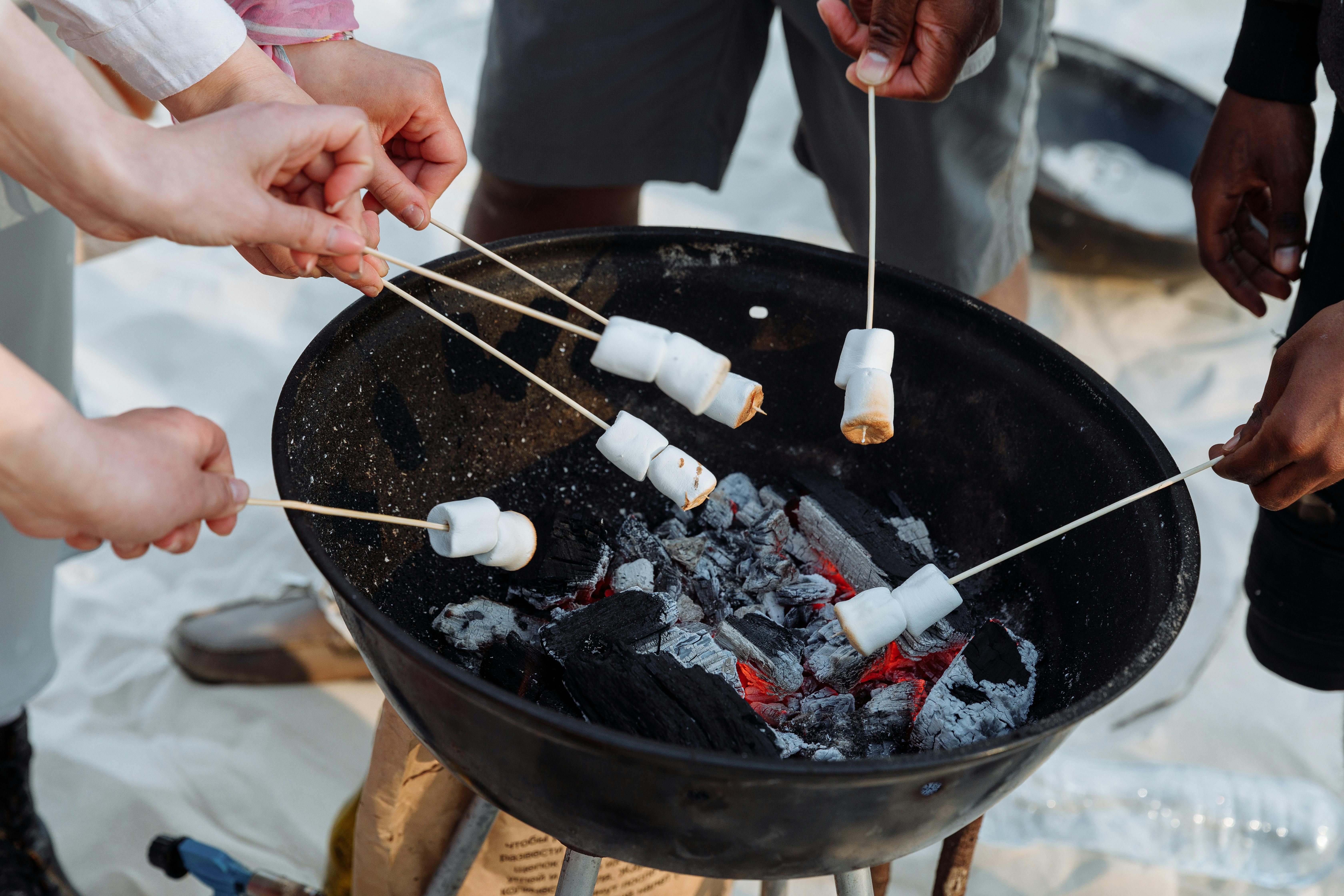 Hardwood Charcoal Italy: Premium Fuel for Efficient Grilling and Heating