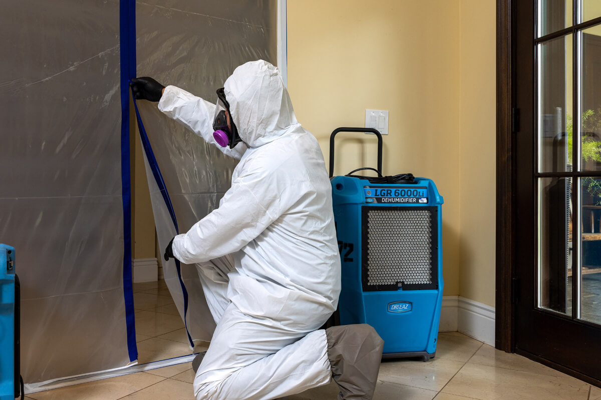 Reliable Cleaning Services for mold remediation zilker austin tx