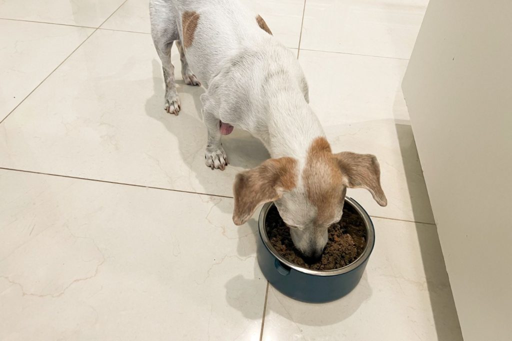 how much does farmers dog cost